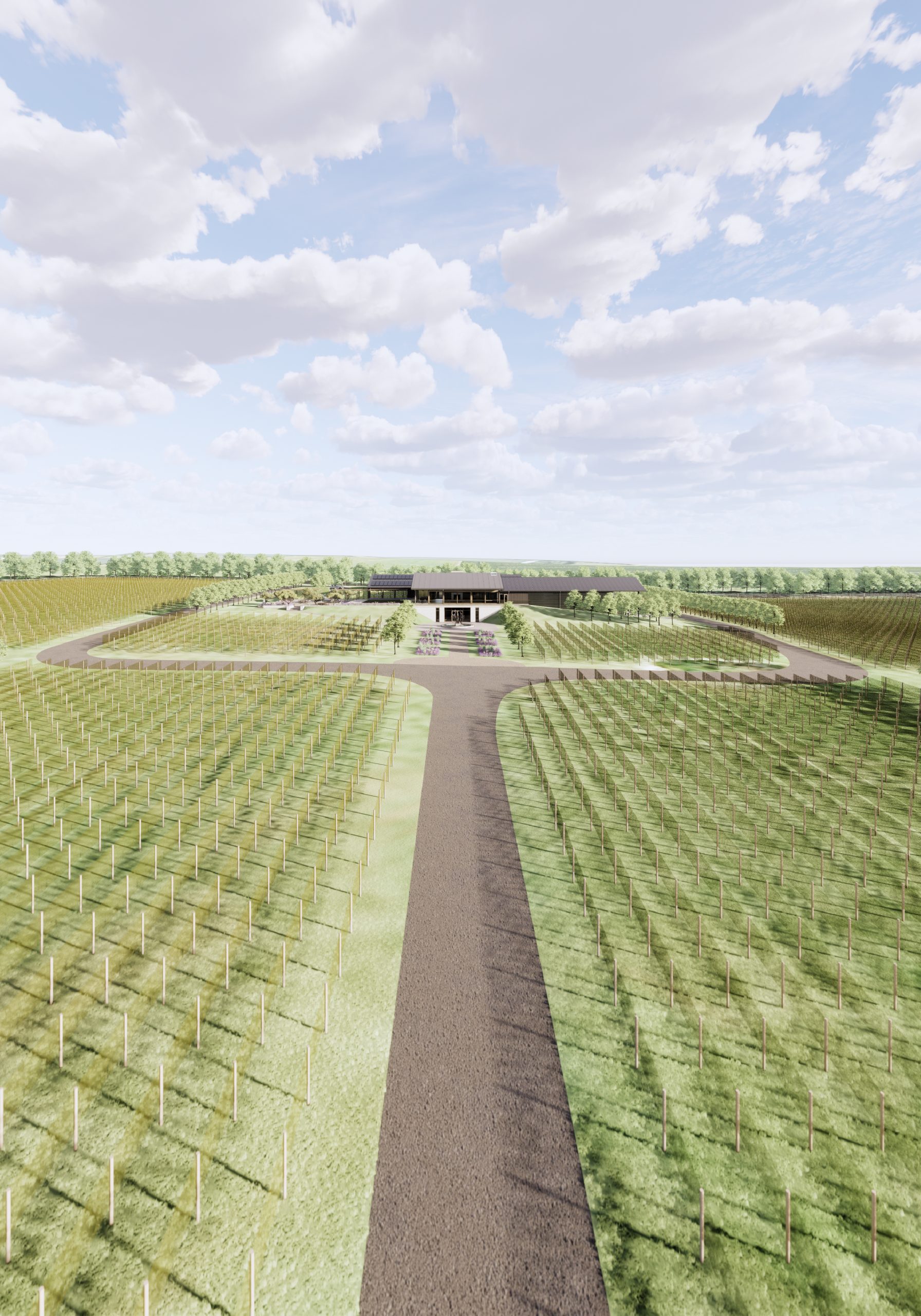 Designcubed Architects Newsells Winery9