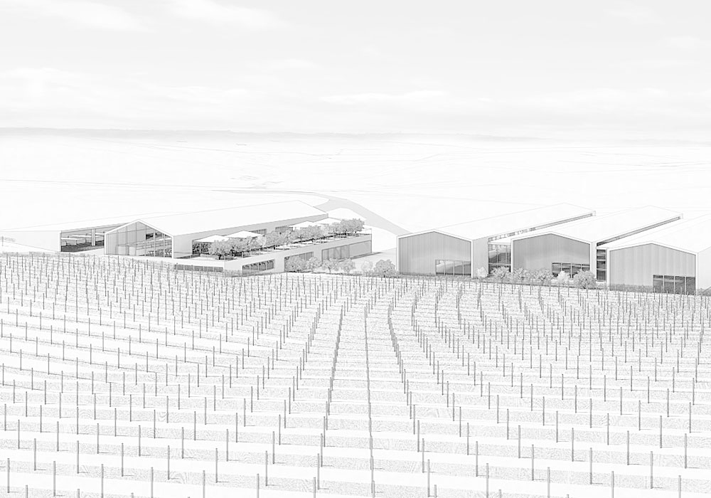 Designcubed Architects Winery Feasibility 1